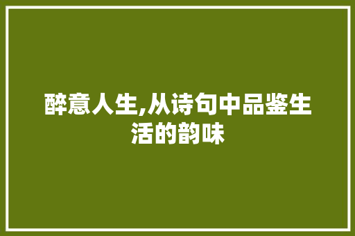醉意人生,从诗句中品鉴生活的韵味