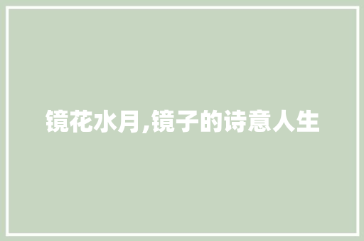 镜花水月,镜子的诗意人生