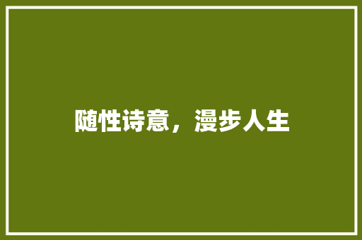随性诗意，漫步人生
