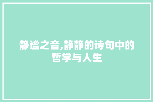 静谧之音,静静的诗句中的哲学与人生