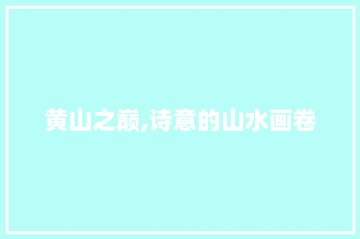 黄山之巅,诗意的山水画卷 社交媒体