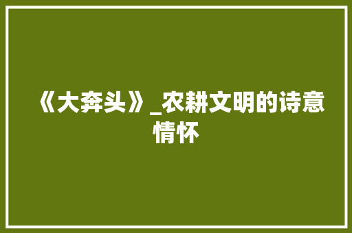 《大奔头》_农耕文明的诗意情怀