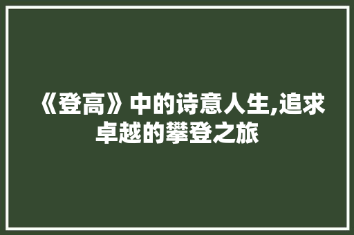 《登高》中的诗意人生,追求卓越的攀登之旅 职场写作