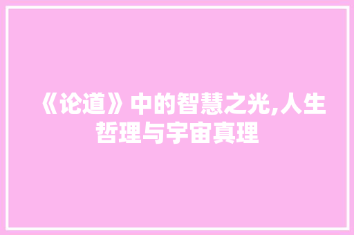 《论道》中的智慧之光,人生哲理与宇宙真理 会议纪要