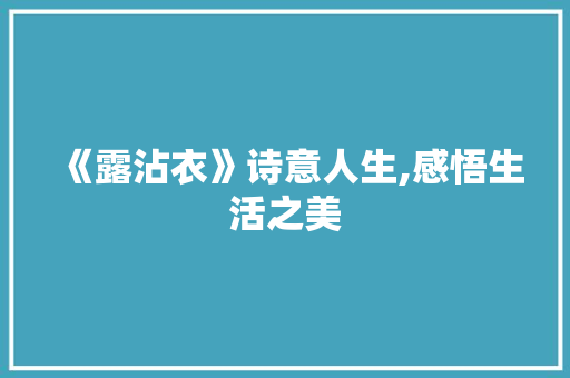 《露沾衣》诗意人生,感悟生活之美 工作总结