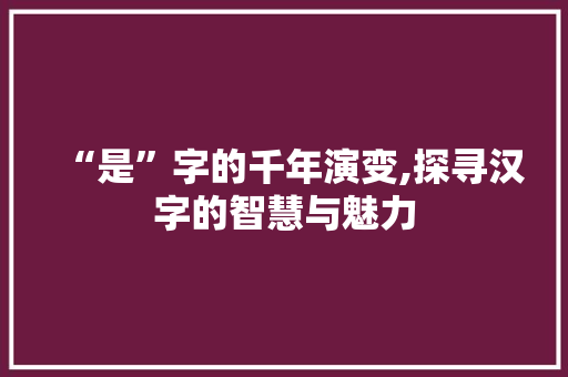 “是”字的千年演变,探寻汉字的智慧与魅力