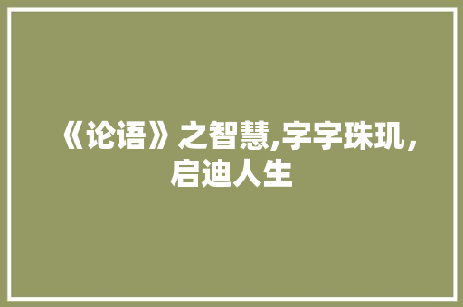 《论语》之智慧,字字珠玑，启迪人生 工作总结