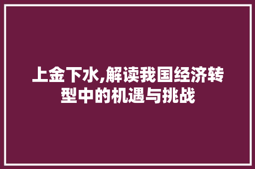 上金下水,解读我国经济转型中的机遇与挑战