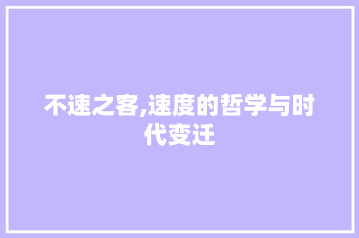 不速之客,速度的哲学与时代变迁