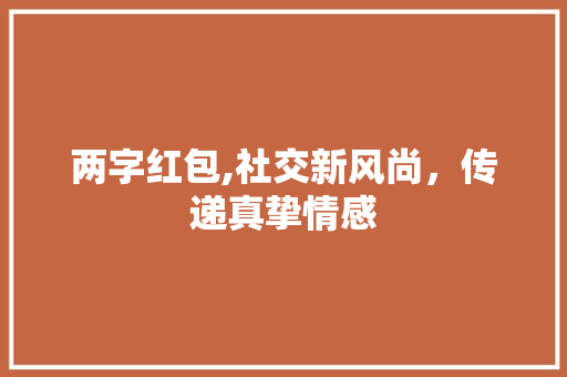 两字红包,社交新风尚，传递真挚情感