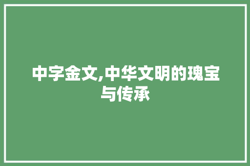 中字金文,中华文明的瑰宝与传承