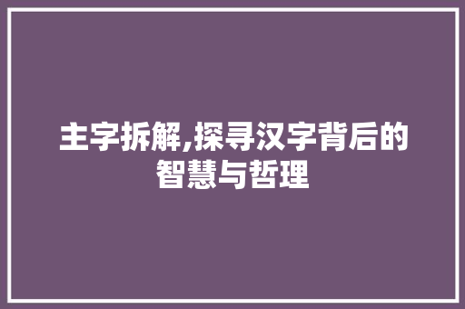 主字拆解,探寻汉字背后的智慧与哲理
