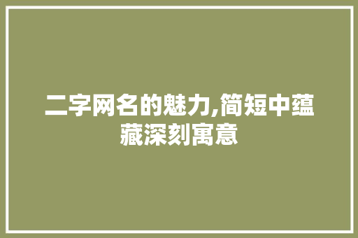 二字网名的魅力,简短中蕴藏深刻寓意