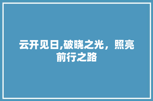 云开见日,破晓之光，照亮前行之路 诗词体裁
