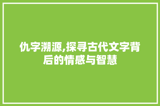 仇字溯源,探寻古代文字背后的情感与智慧 会议纪要