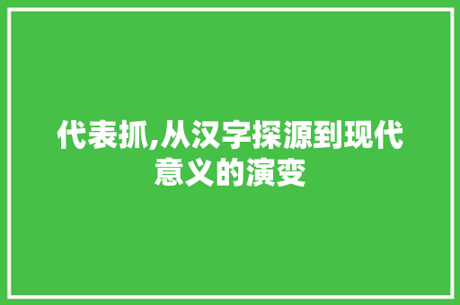 代表抓,从汉字探源到现代意义的演变