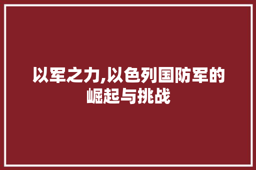 以军之力,以色列国防军的崛起与挑战