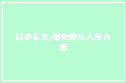 以小见大,微处窥见人生百态 诗词鉴赏