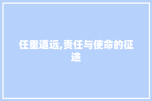 任重道远,责任与使命的征途