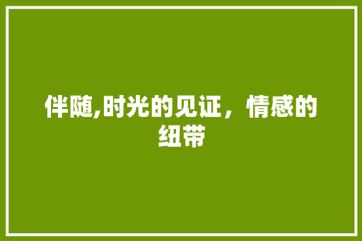 伴随,时光的见证，情感的纽带
