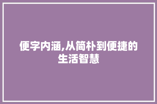 便字内涵,从简朴到便捷的生活智慧