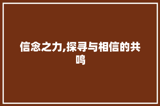 信念之力,探寻与相信的共鸣