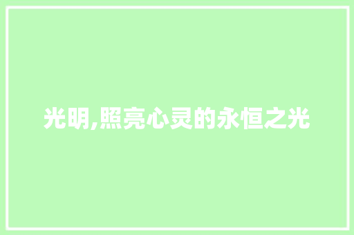光明,照亮心灵的永恒之光