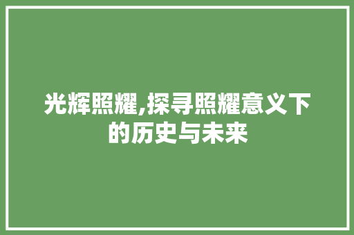 光辉照耀,探寻照耀意义下的历史与未来 会议纪要