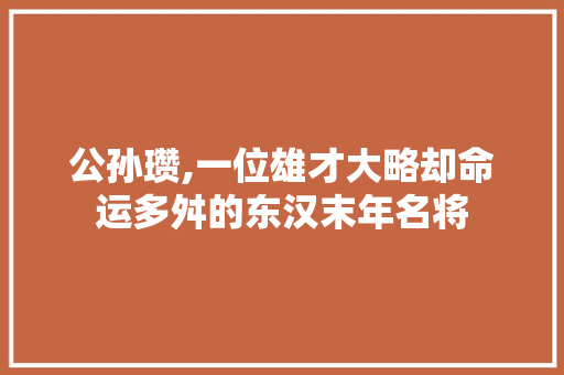 公孙瓒,一位雄才大略却命运多舛的东汉末年名将