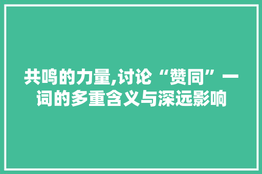 共鸣的力量,讨论“赞同”一词的多重含义与深远影响