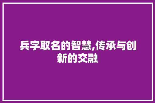 兵字取名的智慧,传承与创新的交融