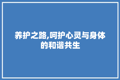 养护之路,呵护心灵与身体的和谐共生