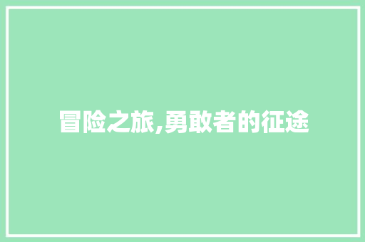 冒险之旅,勇敢者的征途