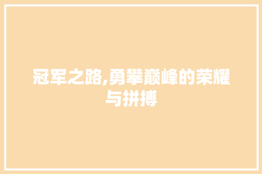 冠军之路,勇攀巅峰的荣耀与拼搏