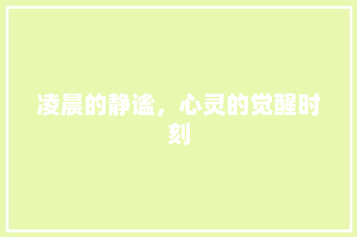 凌晨的静谧，心灵的觉醒时刻