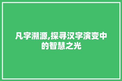 凡字溯源,探寻汉字演变中的智慧之光