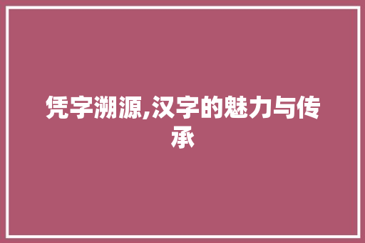 凭字溯源,汉字的魅力与传承