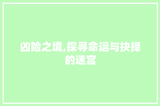 凶险之境,探寻命运与抉择的迷宫