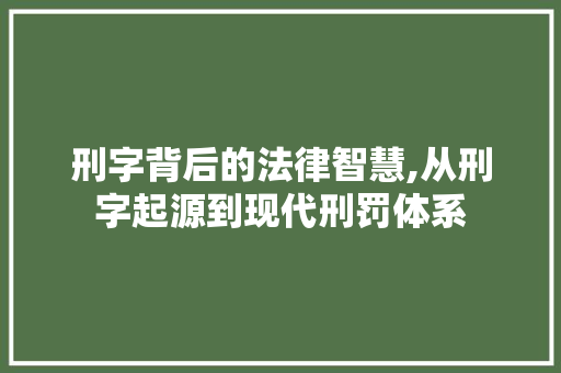 刑字背后的法律智慧,从刑字起源到现代刑罚体系
