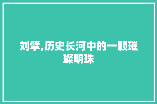 刘擘,历史长河中的一颗璀璨明珠