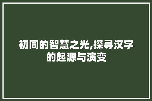 初同的智慧之光,探寻汉字的起源与演变