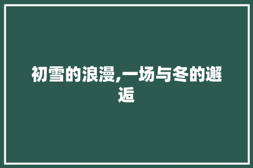 初雪的浪漫,一场与冬的邂逅