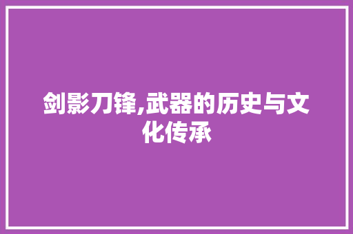 剑影刀锋,武器的历史与文化传承