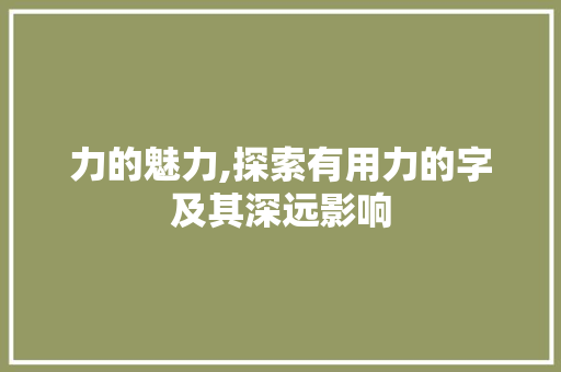 力的魅力,探索有用力的字及其深远影响