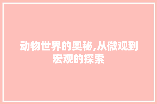 动物世界的奥秘,从微观到宏观的探索