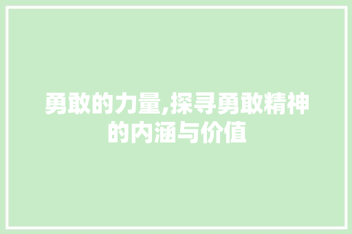 勇敢的力量,探寻勇敢精神的内涵与价值