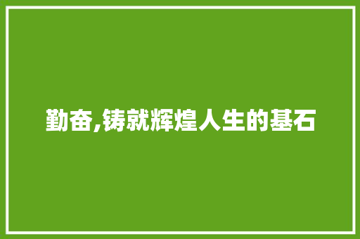 勤奋,铸就辉煌人生的基石