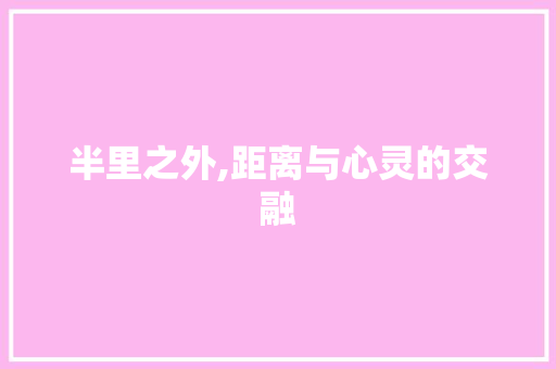 半里之外,距离与心灵的交融