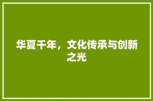 华夏千年，文化传承与创新之光