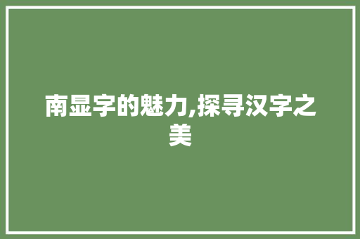 南显字的魅力,探寻汉字之美